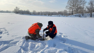 Спасатели ежедневно выезжают за &quot;уловом&quot; на водоемы: названы показатели