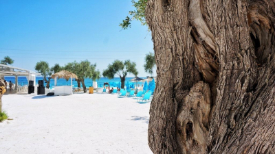 РИАН узнало, что на Бали начали пользоваться схемой Долиной при аренде вилл