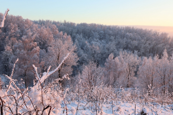 Психолог раскрыла &laquo;второе дно&raquo; в отношениях пропавшей в тайге семьи Усольцевых