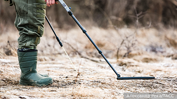 Пульмонолог Коповая рассказала, как пережить аллергенность пыльцы березы