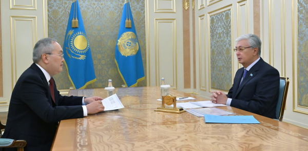 Токаев принял главу АФМ