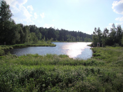 Жители пожаловались на загрязнение пляжа в Янтарном сточными водами