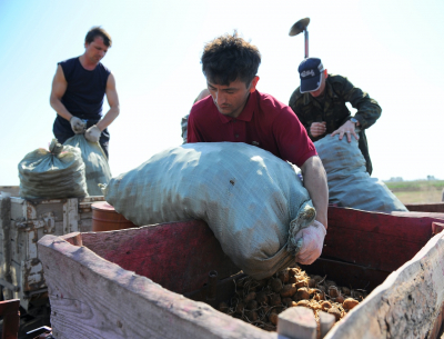 Кадровый голод