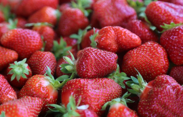 АКОРТ: Минимальная цена клубники в России начинается от 1120 рублей за килограмм