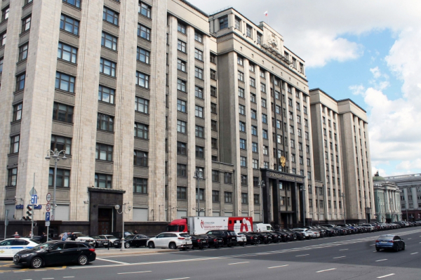 В Госдуме предложили повысить лимит доходов для льготного налогообложения самозанятых