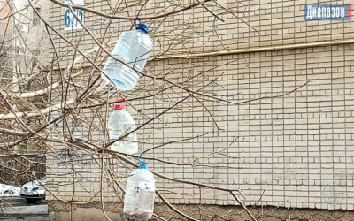 Станет ли бесплатной вода в водоматах Казахстана