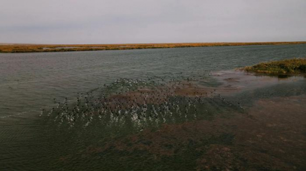 К концу года объем воды в Аральском море вырастет до 23,4 млрд кубометров