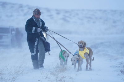 Экзамен в поле