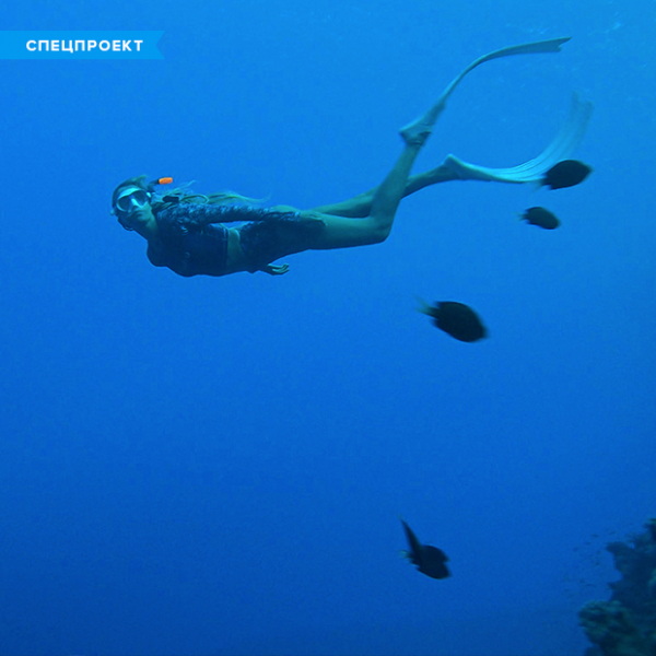 Путешествие страсти: На край света за мечтой