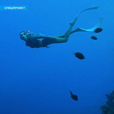 Путешествие страсти: На край света за мечтой