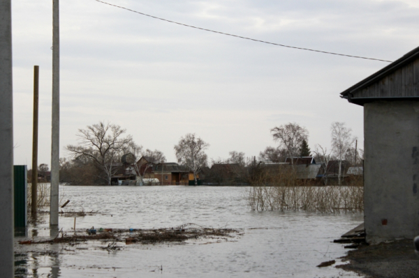 В Новосибирской области размыло железнодорожную насыпь: что известно к этому часу
