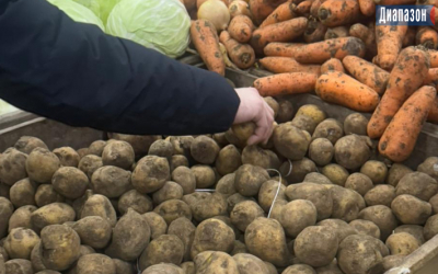 Можно ли удержать цены на продукты и коммунальные услуги?
