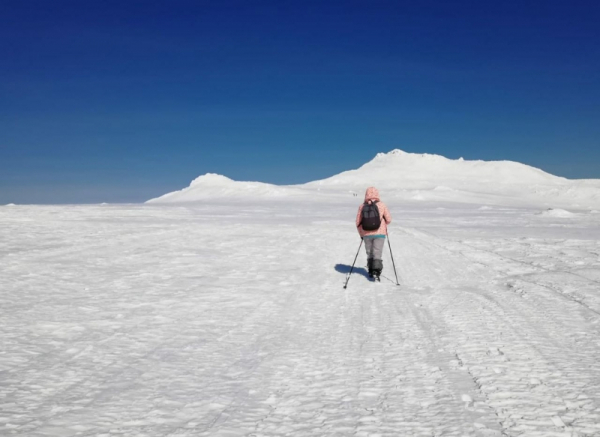 На Камчатке потеряна связь с группой туристов из семи человек: что известно