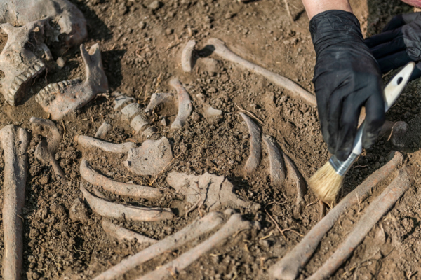 Тайваньская находка раскрыла неожиданные размеры древних людей