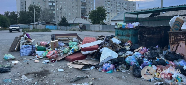 "Представляет угрозу здоровью": на антисанитарию во дворе пожаловалась семейчанка