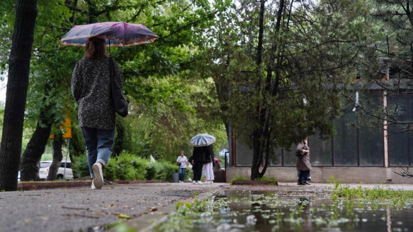 В Казахстане продолжатся дожди с грозами