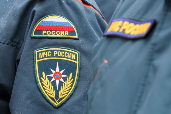 Специалисты МЧС присоединились к операции по спасению белухи под Магаданом