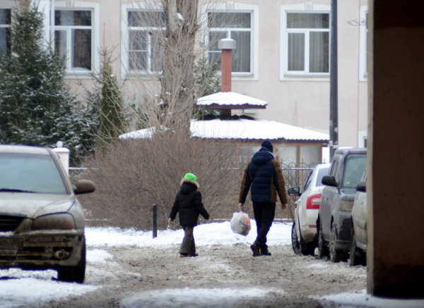 В Петербурге после убийства ребенка проверят семью и соцслужбы