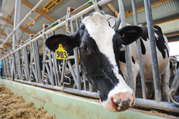 Чтобы не сеяли заразу