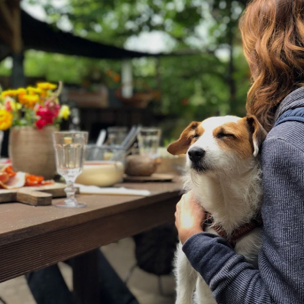 10 заведений в Алматы, куда пускают с домашними животными