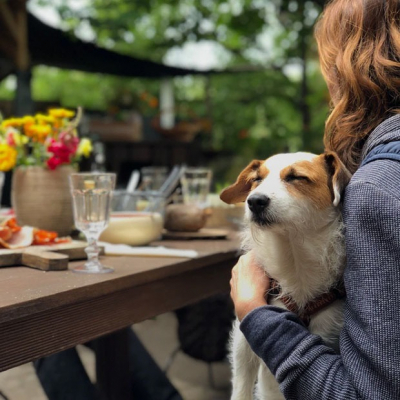 10 заведений в Алматы, куда пускают с домашними животными