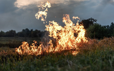 Проблемы пожарной безопасности лесов Казахстана после «Семей орманы»