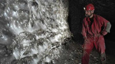 Ученые нашли крупнейшую в мире паутину - в ней живут более 111 тыс. пауков