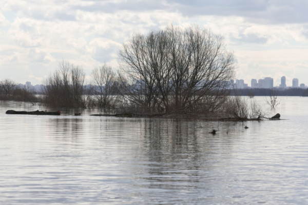В Госдуме жестко высказались о прорыве дамбы в Дагестане