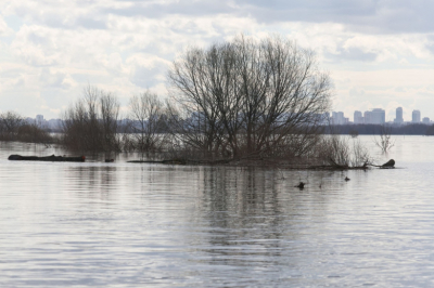 В Госдуме жестко высказались о прорыве дамбы в Дагестане