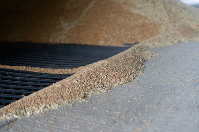 Миллиарды инвестиций и сотни рабочих мест: в Оренбуржье назвали ключевые проекты в АПК