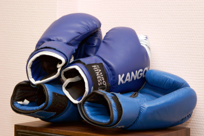 Режиссер Гай Германика взялась помирить братьев Емельяненко