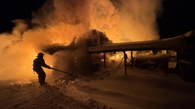 Конный клуб в свердловском атомграде сгорел вместе с лошадьми