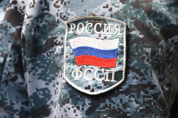 В Приморье мужчина через приставов забрал бытовую технику у бывшей жены