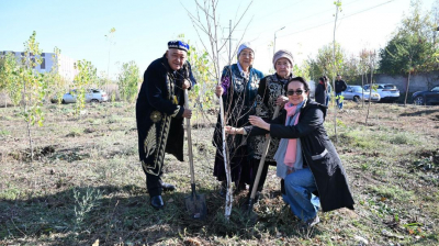 «Жарқын күз»: как алматинцы участвуют в озеленении города