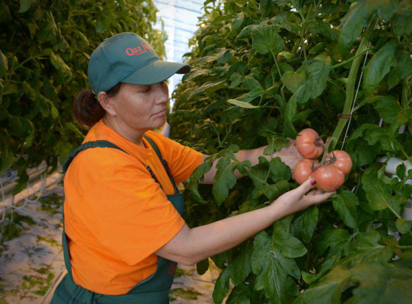 Предпраздничное подорожание отменяется