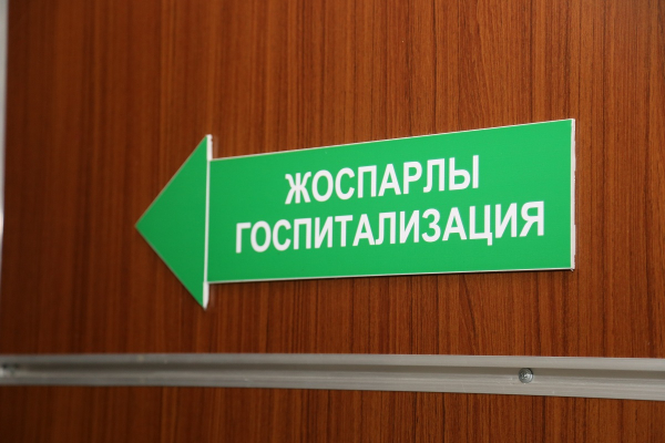 Алматинские врачи спасли женщину с редкой опухолью сердца