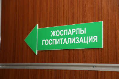 Алматинские врачи спасли женщину с редкой опухолью сердца