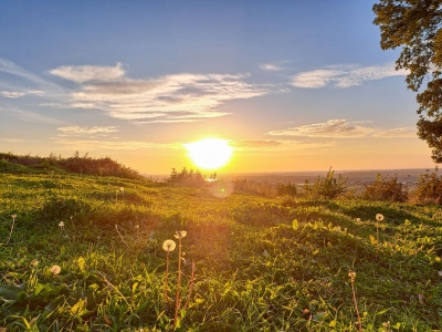 Аномальная жара ожидается летом в Хабаровском крае