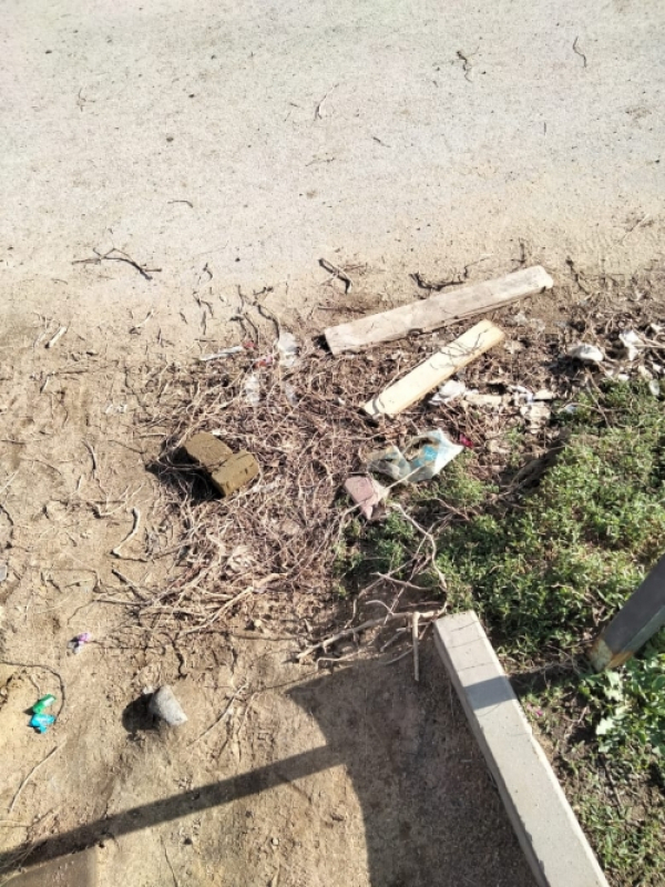 В парке новый подрядчик, теперь будет порядок