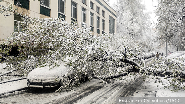 Прокуратура взяла на контроль проверку по пожару с погибшими людьми в Москве