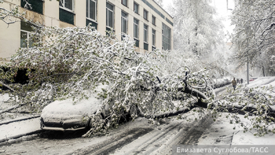 Прокуратура взяла на контроль проверку по пожару с погибшими людьми в Москве