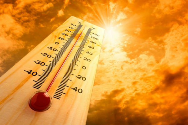 Сильная жара до +44 °С ожидается в Казахстане