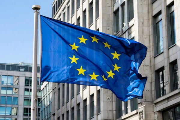 Пушков: Брюссель жертвует странами ЕС ради &laquo;высшей цели&raquo;