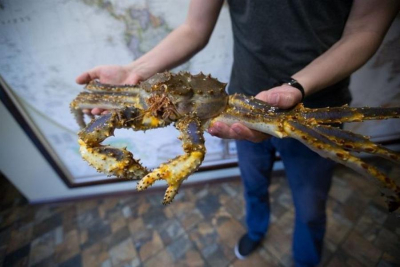 &laquo;Русский краб&raquo; заплатит миллионы за причиненный ущерб бухте Троица