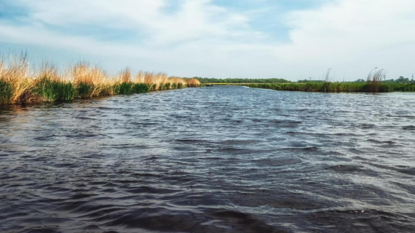 Водозаборный канал на 13 млрд тенге вернули в госсобственность в Туркестанской области