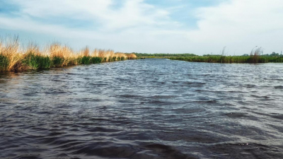 Водозаборный канал на 13 млрд тенге вернули в госсобственность в Туркестанской области