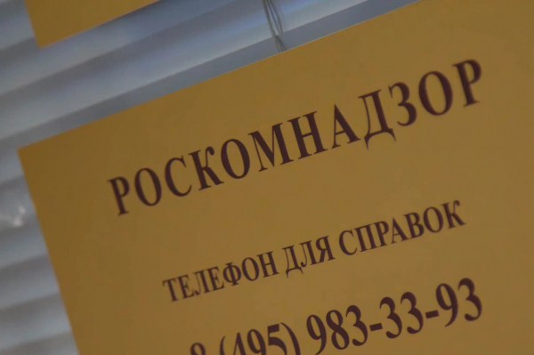 Роскомнадзор не выявил повторных утечек персональных данных за полтора года