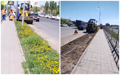 Народный репортер. Всю зелень убрали по пр. Санкибай батыра