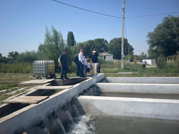 Состояние сельскохозяйственного сектора Жамбылской области