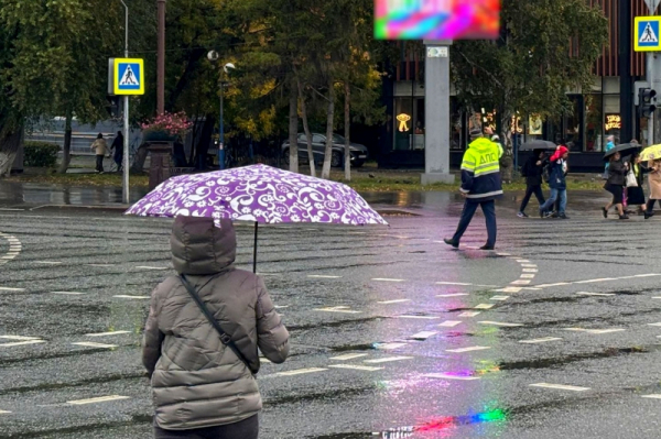 Каспийский циклон обрушит на Новосибирск дожди и холод на длинных выходных